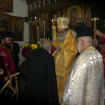 prinias_maleviziou_3-11-1714