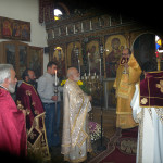 prinias_maleviziou_3-11-172