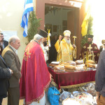 prinias_maleviziou_3-11-1720