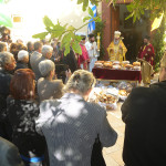 prinias_maleviziou_3-11-1721