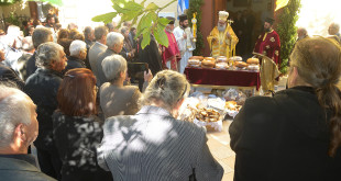 prinias_maleviziou_3-11-1721