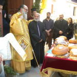 prinias_maleviziou_3-11-1723