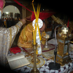 prinias_maleviziou_3-11-173