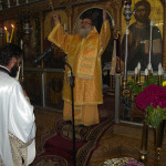 prinias_maleviziou_3-11-174