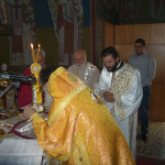 prinias_maleviziou_3-11-175