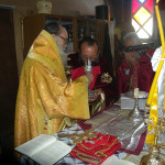 prinias_maleviziou_3-11-177