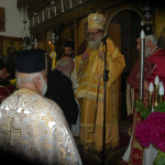 prinias_maleviziou_3-11-178