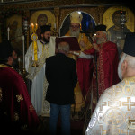 prinias_maleviziou_3-11-179