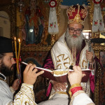 ag_pnevmatos_petrokefali_201814