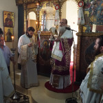 ag_pnevmatos_petrokefali_20188