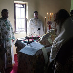 ag_pnevmatos_petrokefali_20189