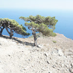 xirotonia_porfiriou_201826