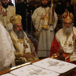 mnimosino_melanis_20181