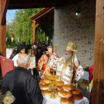 ag_ekaterinis_201811