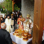 ag_ekaterinis_201812