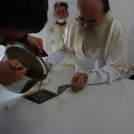 engenia_ag_antipa_201911