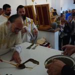 engenia_ag_antipa_201913