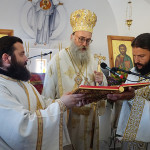 engenia_ag_antipa_201925