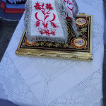 engenia_ag_antipa_20195