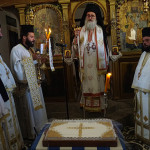 prinias_monof_201912