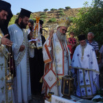 prinias_monof_201914