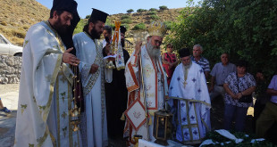 prinias_monof_201914