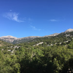 rouvas_23-9-201914