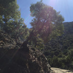 rouvas_23-9-201917