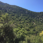 rouvas_23-9-201918