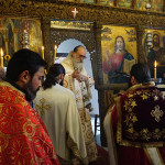 isodion_vorous_21_11_196