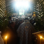 fota_202013
