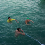 theofania_202011