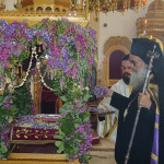 m_paraskevi_proi_202011