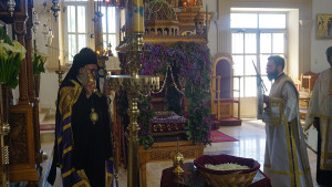 m_paraskevi_proi_202012