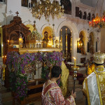 m_paraskevi_vradi_20204