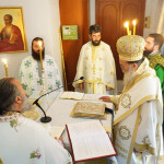 pesonton-miron_20203