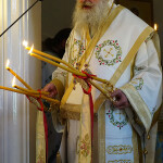 pesonton-miron_20204