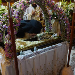 panag_202