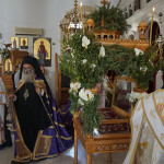 m_paraskevi_proi_216