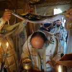 pavlou_gortinis_214