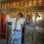 pavlou_gortinis_215