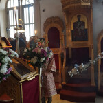 vaion_vradi_222
