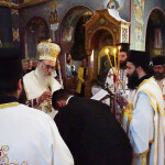 xirotonia_paranix_221