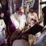 xirotonia_paranix_2211