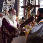 xirotonia_paranix_2212