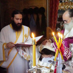 xirotonia_paranix_2213