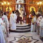 xirotonia_paranix_2214