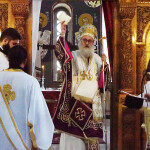 xirotonia_paranix_2215