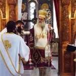 xirotonia_paranix_2216