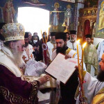 xirotonia_paranix_222